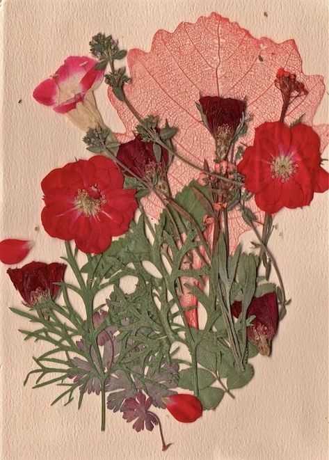 Pressed Flowers Ideas, Green And Red Aesthetic, Red Palette, Flowers Pressed, Poppy Color, Fleurs Diy, Flowers Ideas, Widescreen Wallpaper, Pressed Flower Art