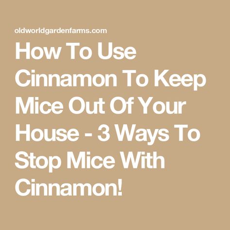 Home Remedy To Get Rid Of Mice, How To Mouse Proof Your House, Diy Mouse Repellent Homemade, Deter Mice From House, Homemade Mice Repellent, Keeping Mice Out Of House, Mouse Repellent Diy Cinnamon, Natural Mouse Repellent For Home, Keep Mice Out Of House