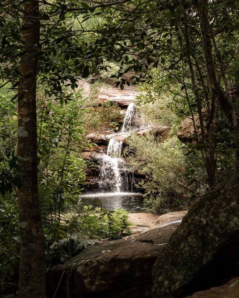 Royal National Park's secret waterfall you can swim under — Walk My World Secret Waterfall, Beach Cars, Reading Art, Swimming Holes, The Walk, Hidden Gem, My World, Step By Step Instructions, Secret Garden