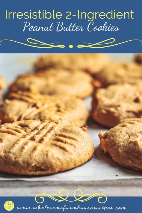 freshly baked peanut butter cookies cooling on baking sheet No Sugar Peanut Butter Cookies, 2 Ingredient Peanut Butter Cookies, Powdered Sugar Cookies, Healthy Peanut Butter Cookies, Homemade Biscuits Recipe, Roll Cookies, Peanut Butter Powder, Chewy Chocolate Chip, Peanut Butter Lovers