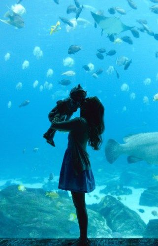 Baby Tips: Visiting the Georgia Aquarium Aquarium Family Pictures, Georgia Aquarium Aesthetic, Aquarium Pictures Ideas, Aquarium Photo Ideas, Aquarium Photoshoot, Abc Dates, Baby At The Beach, Travel With Baby, Baby Vacation