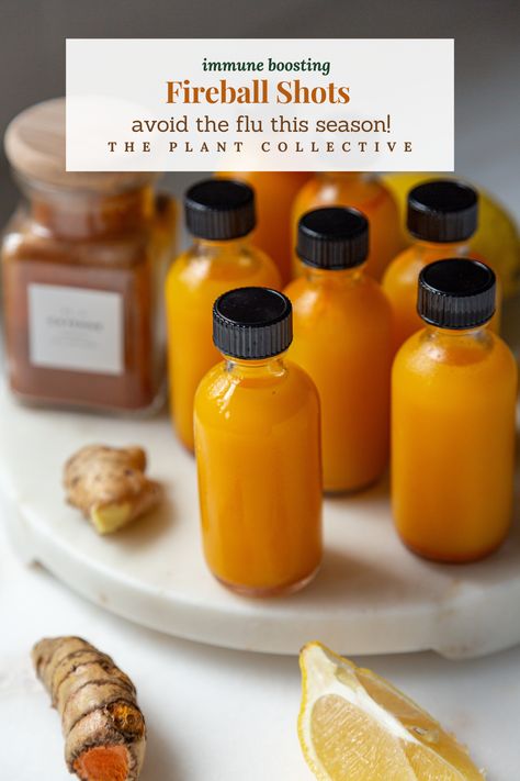 Vibrant wellness shots with fiery ingredients, including ginger, turmeric, cayenne, and lemon, to ignite your immune system. Immunity Shots, Ginger Shot Recipe, Ginger Shot, Wellness Shots, Ginger Slice, Ginger Benefits, Fresh Turmeric, Ginger Turmeric, Avocado Smoothie