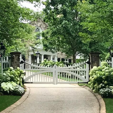 There's nothing quite as satisfying as green and white to define a garden in the heat of the summer. Drive and garden entryway to an estate by #howarddesignstudio. #green #greengarden #greenandwhite #hydrangea #hydrangeas #hydrangealove #softfocus #summertime Beautiful Driveways Entrance Landscaping, 2024 Prep, Gate Inspiration, Garden Entryway, Summer Drive, Driveway Entrance Landscaping, Gate Entrance, Garden 2023, Landscape Design Drawings