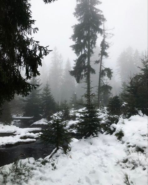 Dark Christmas, Winter Fairy, I Love Winter, Cosy Winter, The Witches, Winter Scenery, Snowy Day, Winter Aesthetic, Nature Aesthetic