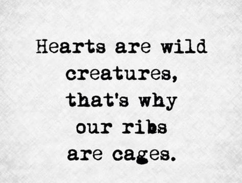 . Hearts Are Wild Creatures, Twin Flames Signs, Twin Flame Love Quotes, Inspirational Qoutes, Twin Flame Love, Wild Creatures, Perfection Quotes, Love Words, Wise Quotes