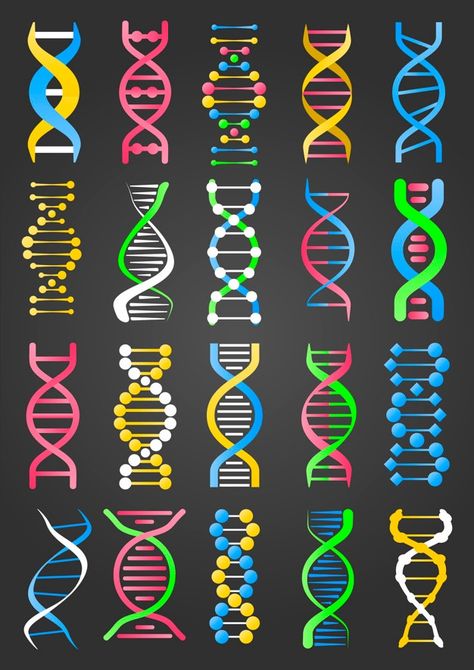 Dna Facts, Dna Tree, Dna Logo, Dna Project, Dna Art, Dna Tattoo, Scanning Electron Micrograph, Dna Molecule, Dna Design