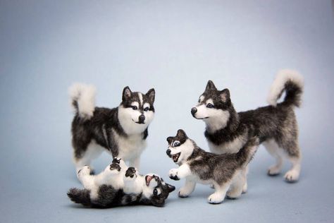 Animal Figurine Toys, Doll House Pets, House Pets, Baby Guinea Pigs, Samoyed Dog, Animal Family, Diy Doll Miniatures, Miniature Dogs, Felt Dogs