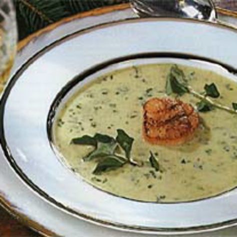 Truffle Oil Recipes, Watercress Soup, Cheddar Cheese Recipes, Scallops Recipe, French Soup, White Truffle Oil, Roasted Cauliflower Soup, Pan Seared Scallops, Seared Scallops