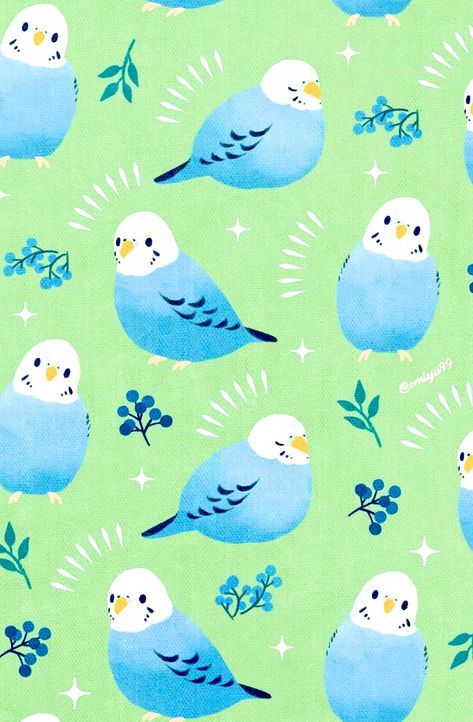 Cute Budgie Wallpaper, Bird Cute Illustration, Budgies Wallpaper, Iphone Wallpaper Birds, Bird Wallpaper Aesthetic, Cute Wallpapers Animals, Birds Aesthetic Wallpaper, Cute Birds Wallpaper, Budgie Wallpaper