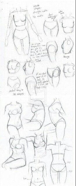 Women's Body Drawing Logan Drawing, Comic Base, Body Tutorials, Anatomy Help, Ako Kresliť, Drawing Body Proportions, Illustrations Ideas, Anatomy References, Art 101