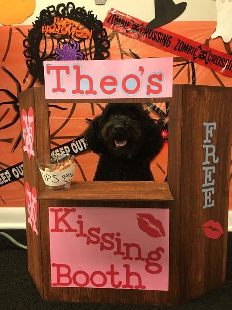 Kissing Booth Dog Costume Kissing Booth Dog Costume, Kissing Booth Dog, Dog Kissing Booth, Dog Kisses, Booth Wedding, Pet Halloween Costumes, Kissing Booth, Dog Valentines, Dog Costume