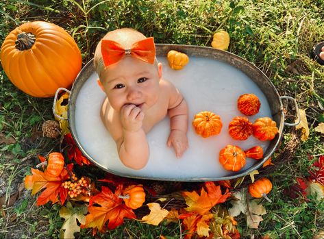 Halloween Milk Bath Photography, November 1st Birthday Photo Shoot, Pumpkin Patch Mommy And Me, Diy Baby Fall Photoshoot, Pumpkin Milk Bath Pictures, Fall Milk Bath Baby, Fall Milk Bath Photography, Baby Milk Bath Pictures, Pumpkin Milk Bath