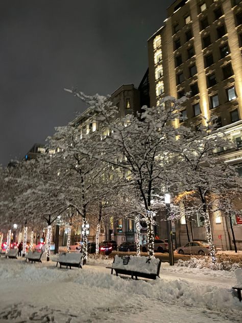 Montreal Christmas, Montreal Old Port, Light City, City At Night, Old Port, Home Building Design, Christmas Light, Night City, Building Design