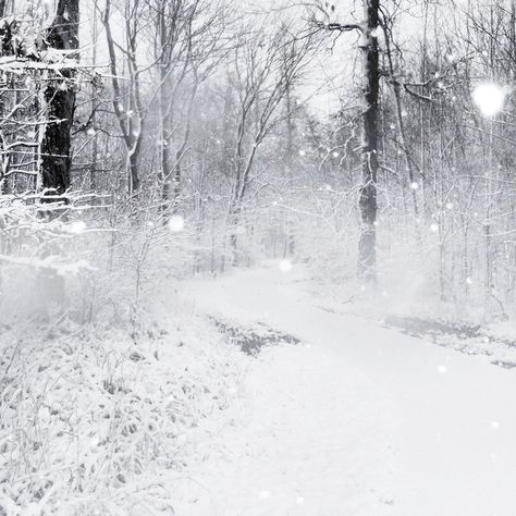 Rain Photo, Winter Palace, Winter Fairy, Snowy Forest, Angel Aesthetic, Field Of Dreams, Winter Photos, Snow Angels, Winter Scenery