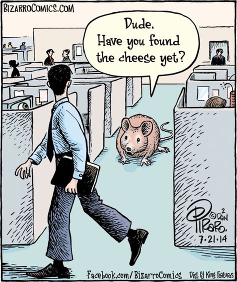 Bizarro: Dude, have you found the cheese yet? Bizarro Comic, Graduation Funny, Science Jokes, Silly Jokes, Work Humor, A Cartoon, Funny Cartoons, Bones Funny, Funny Comics