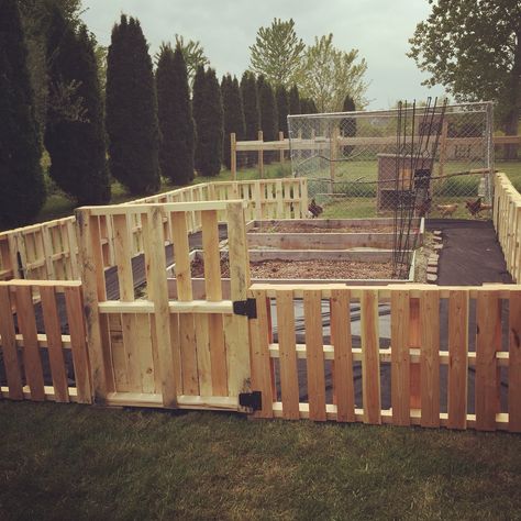 Pallet Garden Fence Ideas, Pallet Fence For Garden, Pallet Garden Gate, Easy Pallet Fence Diy, Pallet Fence Garden, Allotment Fence, Pallet Garden Fence, Pallet Fences, Pallet Fence Diy