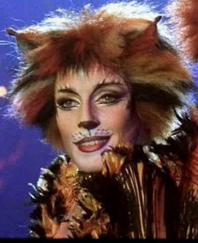 cheshire cat makeup...? and sort of colour scheme with the stripes Cats The Musical Costume, Cheshire Cat Makeup, Jellicle Cats, Animal Makeup, Cats Musical, Theatrical Makeup, Cat Sketch, Hairless Cat, Cat Makeup