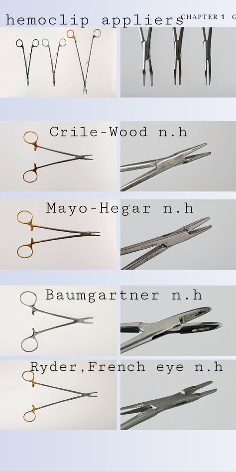 Surgical Instruments Names, Surgical Tech Aesthetic, Sterile Processing Tech, Surgical Technologist Student, Surg Tech, Sterile Processing, Medical Terminology Study, Vet Tech School, Medical Lab Technician