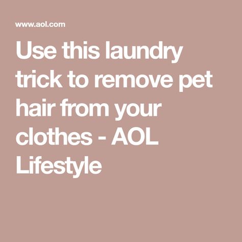 Remove Pet Hair From Laundry, How To Get Pet Hair Off Clothes, Pet Hair Removal Laundry, Cleaning Washer Machine, Cat Hair Removal, Short Dog, Washer Machine, Best Shakes, Pet Hair Removal