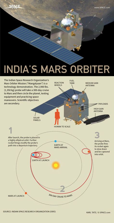 How India's First Mars Mission Works (Infographic)  Find your nebulas themed products from our shop! (Link in Bio) Mars Orbiter Mission, Isro India, Mars Mission, Learn Science, Indian Space Research Organisation, Space Technology, Astronomy Poster, Space Probe, Planet Mars