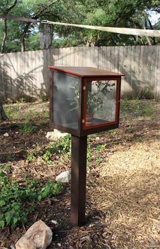 School Outdoor Area, Monarch Butterfly Habitat, Raising Monarch Butterflies, Raising Butterflies, Monarch Butterfly Garden, Butterfly Garden Plants, Butterfly Habitat, Screen House, Backyard Garden Landscape