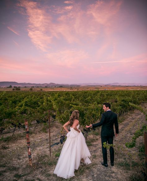 Funny Wedding Photography, Winery Wedding Photos, Wedding Photography Checklist, Funny Wedding Photos, Sonoma Wedding, Outdoor Wedding Photos, Funny Photography, Romantic Bride, Wedding News