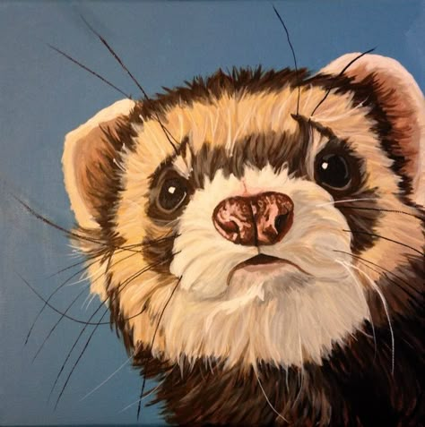 Ferrets Pictures, Ferret Painting, Edgy Drawings, Ferret Art, Ferret Stuff, Cute Ferrets, Animal Artwork, Never Regret, Animals Artwork