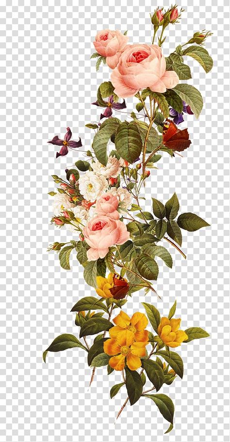 Flower Png Images, Futurisme Retro, Flower Background Images, نباتات منزلية, Botanical Flower Art, इंस्टाग्राम लोगो, Rose Illustration, Flower Collage, Flower Wedding Invitation