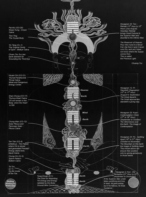 Functional Channel Yin. This chart illustrates the Male Body with the Microcosmic Orbit and Functional Channel Yin, with the Eight Forces and the detail explanation surrounding the figure. Microcosmic Orbit, Tree Logo Design, Body Study, Occult Science, Sacred Science, Healing Codes, I Ching, Viking Symbols, Tree Logos