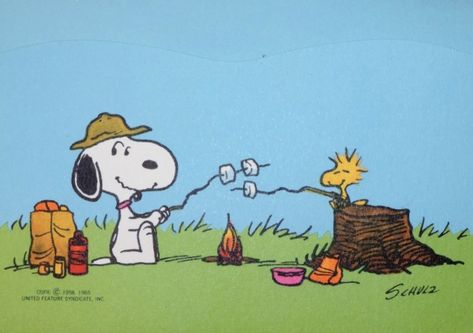 Snoopy And Woodstock, Woodstock, Campfire, Charlie Brown, Snoopy