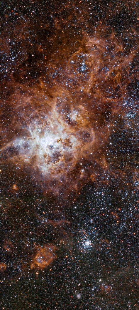 Tarantula Nebula, Nebula Wallpaper, Telescope Images, Galaxy Images, Nebulas, Space Space, James Webb, James Webb Space Telescope, Star Eyes