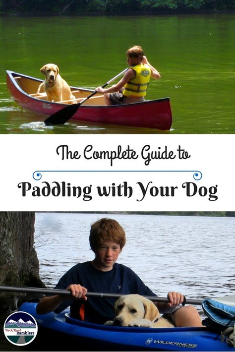 Wondering how to make paddling with your dog a reality? This is a complete guide for canoeing or kayaking with your pup. Inflatable Canoe, Kayaking With Dogs, Kayaking Tips, Canoe Camping, Kayak Camping, Kayak Accessories, Kayak Paddle, Canoe Trip, Kayak Trip