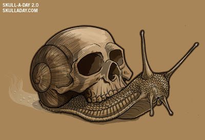 skull a day | he was also inspired by skull a day to start Skull Snail, Snail Tattoo, Tier Tattoo, Shell Tattoos, Snail Art, Skeleton Art, Desenho Tattoo, Skull Drawing, Human Skull