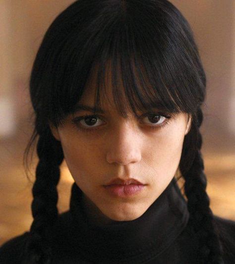 Wednesday Addams Character, Black Pigtails, Jenna Ortega As Wednesday, Wednesday Addams Dance, Clown Costume Women, Charles Addams, Wednesday Jenna, Gomez And Morticia, Good Wednesday