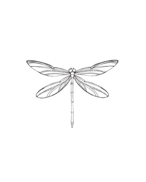 Simple Dragon Fly Tattoo Design, Dragon Fly Tattoo Fine Line, Dragon Fly Tattoo Simple, Dragonfly Tattoo Design With Flowers, Fine Line Dragonfly Tattoo, Butterfly Stencils, Dragon Fly Tattoo, Dragonfly Tattoos, Fly Tattoo