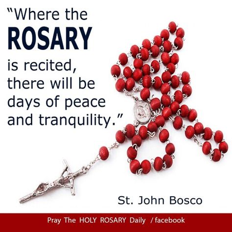 Rosary Rosary Quotes, Rosary Prayers Catholic, John Bosco, St John Bosco, Bible Verses Kjv, Saint Quotes Catholic, Holy Quotes, Rosary Prayer, Praying The Rosary