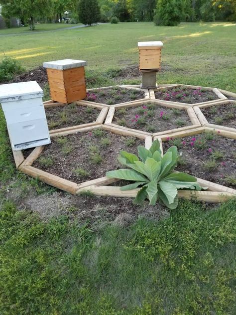 Apiary Garden, Bee Garden Design, Apiary Design, Southern Gardening, Bee Yard, Beehive Design, Backyard Bee, Bee Friendly Garden, Backyard Beekeeping