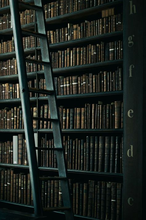 Next

Next Library Background, Black Library, The Power Of Reading, Wallpaper Book, Library Ladder, Library Aesthetic, Free High Resolution Photos, Library Shelves, Make Money Writing