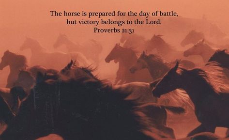 Proverbs 21:31 New American Standard Bible 1995 31 The horse is prepared for the day of battle, But victory belongs to the Lord. Horses Running, Wild Mustangs, Horse Life, Horse Pictures, Wild And Free, Wild Horses, Animal Photo, Good Thoughts, Beautiful Horses