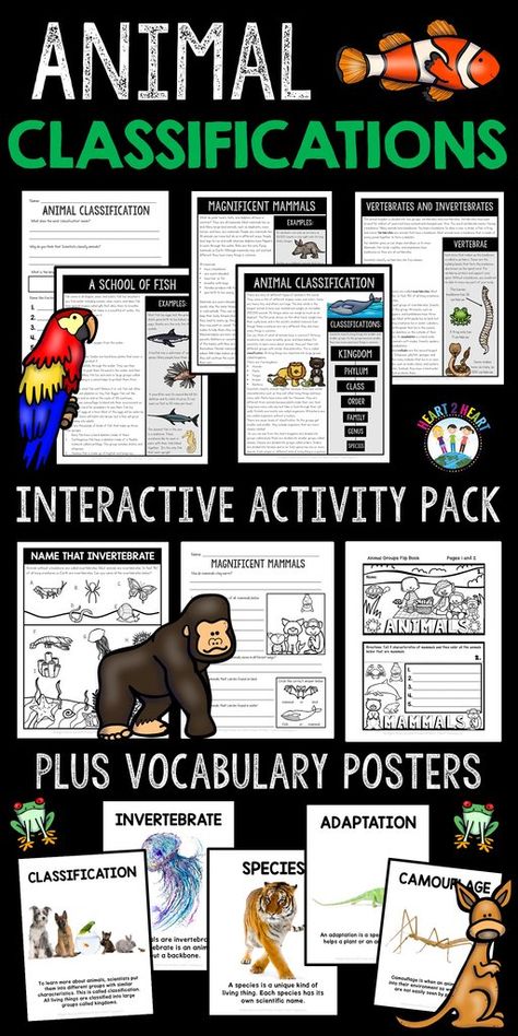 Animal Classification For Kids, Spider Activities, Vertebrates And Invertebrates, Animal Classification, 1st Grade Science, Animal Adaptations, Animal Science, Science Units, Animal Groups