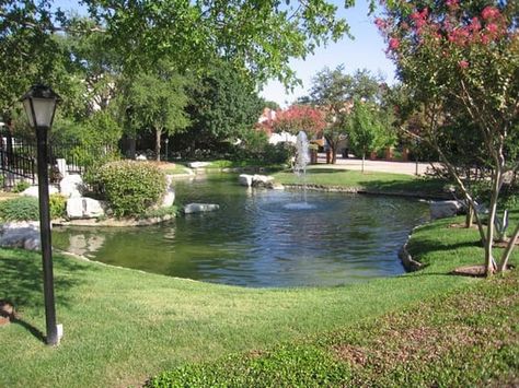 Pond Landscaping Ideas, Halloween Home Decor Ideas, Backyard Fountain, Swimming Ponds, Paintings Home Decor, Fishing Pond, Backyard Ponds, Large Backyard Landscaping, Natural Swimming Ponds