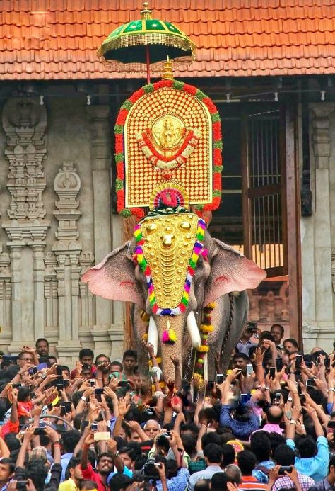 Thrissur Pooram, Decorated Elephant, King Ragnar, Elephant Photography, Kerala Travel, Mother India, Elephant Images, Diy Science Experiments, Happy Onam