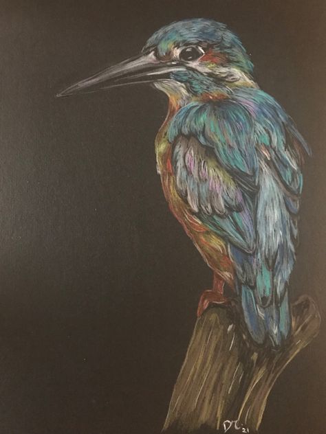 Drawing On Black Paper Colored Pencils, Art Final, Scratchboard Art, Colored Chalk, Crayon Drawings, Bird Sketch, Black Paper Drawing, Pencil Crayon, Chalk Drawings