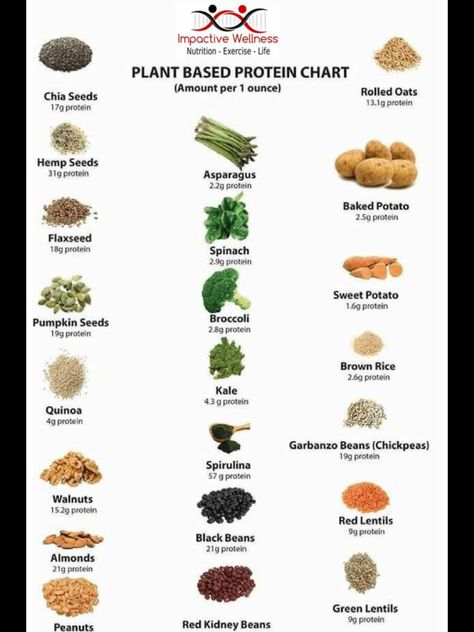 Plant Based Recipes For Beginners, Protein Chart, Plant Based Diet Meals, Plant Based Diet Meal Plan, Daily Meal Plan, Plant Based Diet Recipes, Plant Based Whole Foods, Vegetarian Protein, Ketogenic Diet Meal Plan