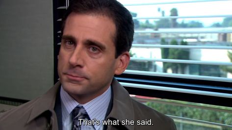 Thats What She Said, Best Of The Office, Office Jokes, Michael Scott Quotes, The Office Show, Office Memes, Office Quotes, Dunder Mifflin, Dc Movies