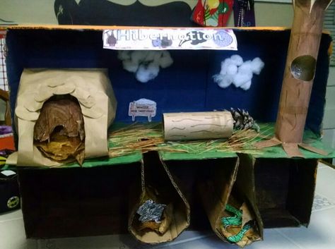 My daughter's hibernation project for school.  Raccoon in log, squirrel in tree, bear in cave, and rabbit and snake in burrows. Rabbit Habitat School Project, Hibernation Diorama, Hibernation Crafts For Toddlers, Underground Animals, Hibernation Preschool Theme, Bear Hibernation, Hibernation Preschool Crafts, Squirrel In Tree, Hibernation Crafts