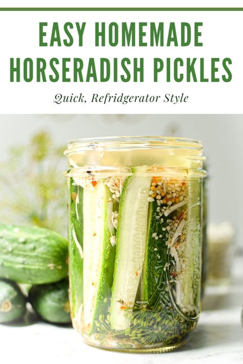 Refrigerator Horseradish Pickles, Different Types Of Pickles, Horseradish Dill Pickles Recipe, Horseradish Pickles Canning, Sweet Horseradish Pickles Recipes, Horseradish Pickles Recipe, Pickle Veggies, Pickle Flavors, Flavored Pickles