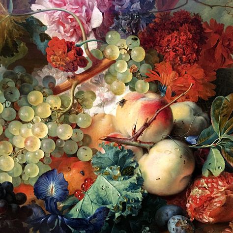 https://flic.kr/p/DEpn49 | Bonne Semaine ! :-) | A detail of Fruit Piece by Jan van Huysum. J. Paul Getty Art Museum L.A. Jan Van Huysum, Dutch Still Life, Megan Hess, Dutch Painters, Fruit Painting, Rose Art, Still Life Painting, Art History, Flower Painting