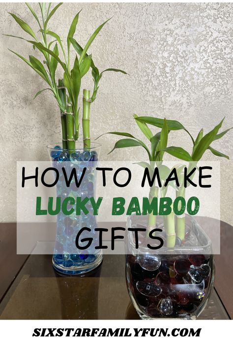 how to make lucky bamboo gifts Lucky Bamboo In Water, Lucky Bamboo Decor, Bamboo Plant Indoor, Free Family Activities, Best Retirement Gifts, Lucky Bamboo Plants, Bamboo Gifts, Bamboo Planter, Lucky Plant