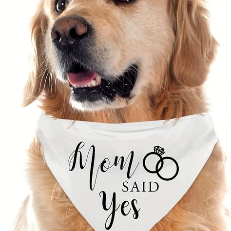 Engagement Photos Pets, My Humans Are Getting Married, Engaged Pictures, Wedding Party Accessories, Wedding Cape, Engagement Celebration, She Said Yes, Wedding Pets, Pet Scarf